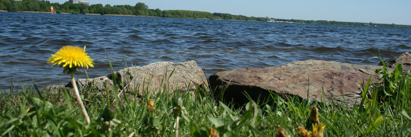 Laufen und Wandern um den Senftenberger See