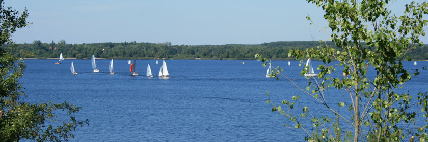 Segelboote auf dem Senftenberger See