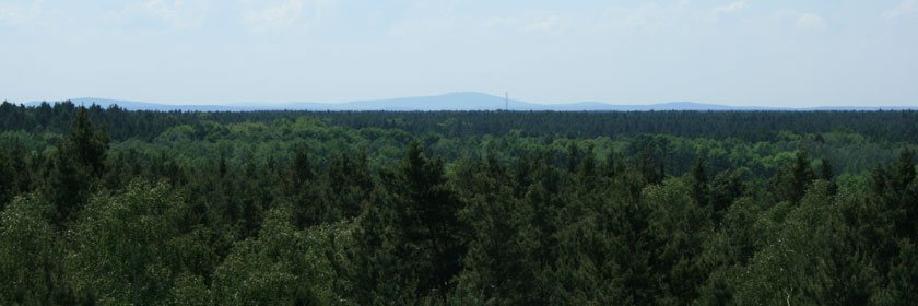 Blick vom Aussichtsturm in der Buckschen Schweiz