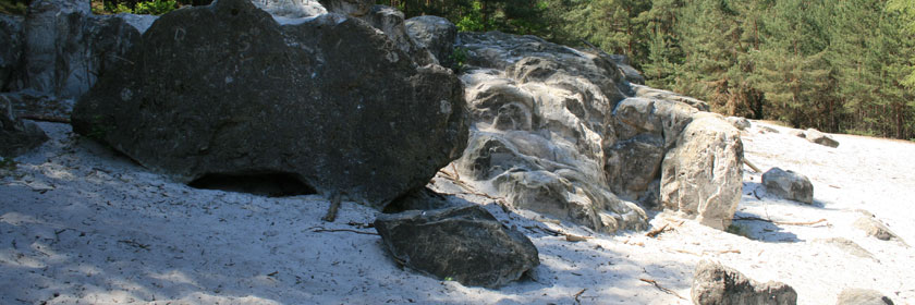 Felsen in der Buckschen Schweiz