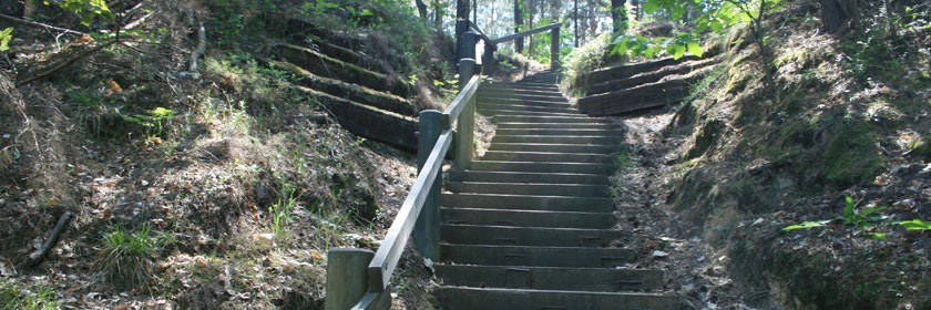 Treppe in der Buckschen Schweiz