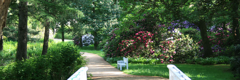 Idylle im Schlosspark von Senftenberg