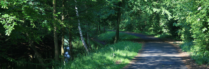 Niemtscher Park und Auslauf