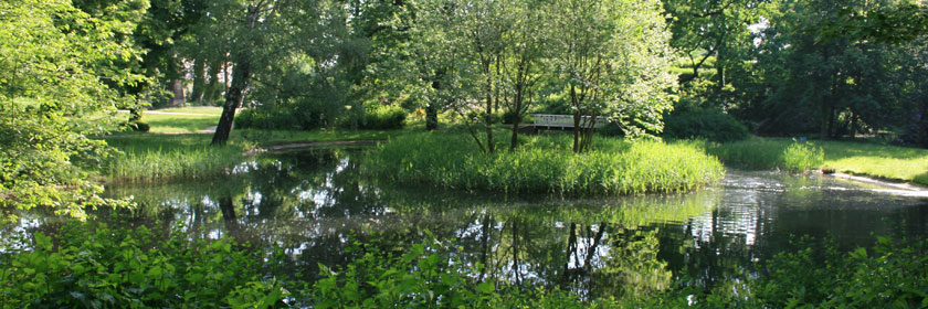 Laufen im Schlosspark Senftenberg