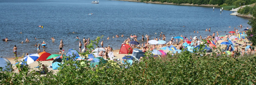 Senftenberger See im Sommer