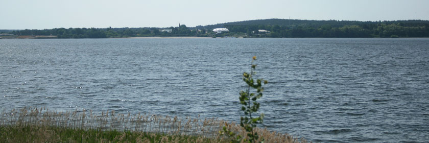 Blick nach Großkoschen