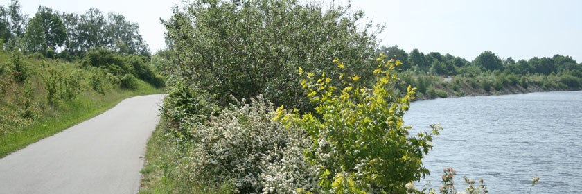 Steilküste und Radweg am See