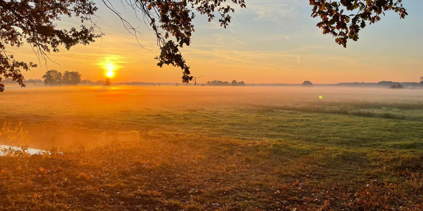 Walk and Talk in Dresden
